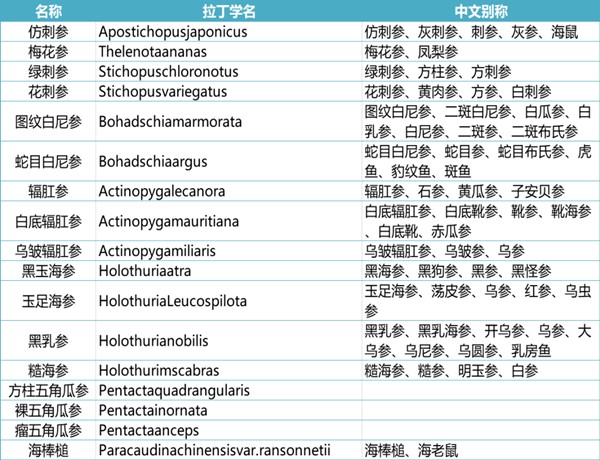 海參進口報關代理