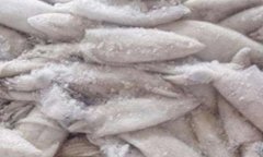 冷凍魷魚進口清關(guān)