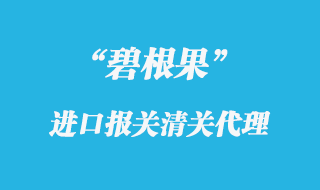 碧根果進(jìn)口報關(guān)代理