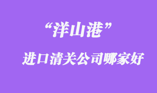 洋山港進(jìn)出口報關(guān)公司