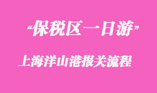 上海洋山港保稅區(qū)一日游報關流程