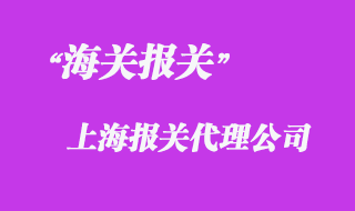 進(jìn)口代理報關(guān)公司
