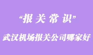 武漢機(jī)場報(bào)關(guān)公司哪家好