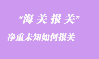 凈重未知如何報關及隨同報關單遞交的單據(jù)