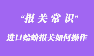 進(jìn)口蛤蚧報關(guān)如何操作？
