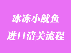 美國冰凍小魷魚進口清關(guān)流程