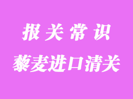 藜麥進口清關流程