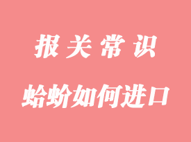你們知道國(guó)外的蛤蚧如何進(jìn)口報(bào)關(guān)到國(guó)內(nèi)嗎？