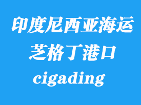 印度尼西亞海運(yùn)港口：芝格?。╟igading）港口